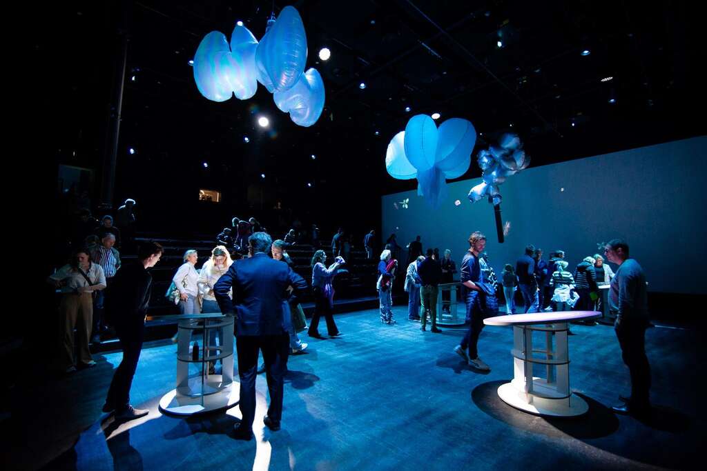 Rabo Studio Let's Gro